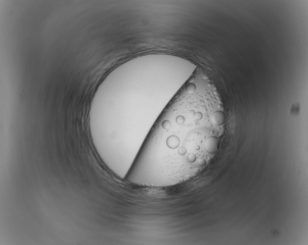 X0000111620719200907171104