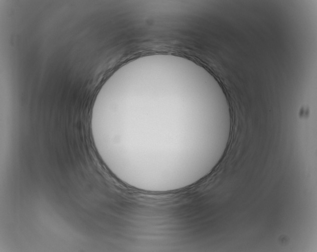 X0000111620720200907171104
