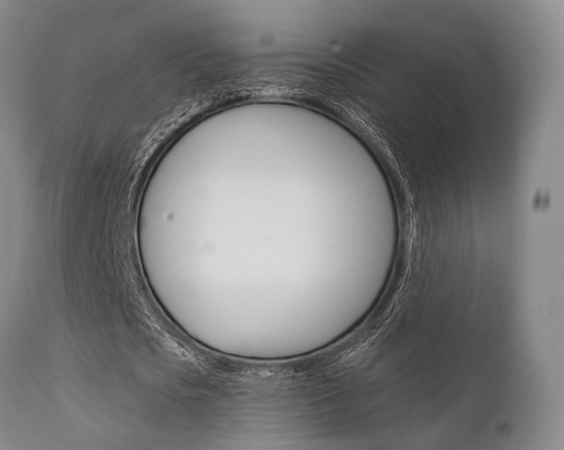 X0000111620721200907171104