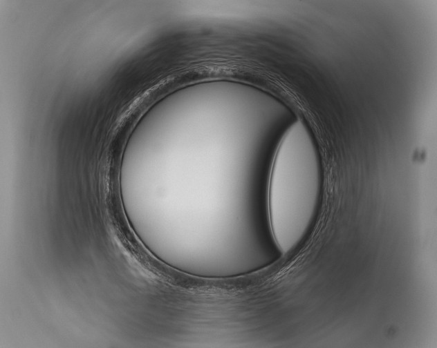 X0000111620722200907171104