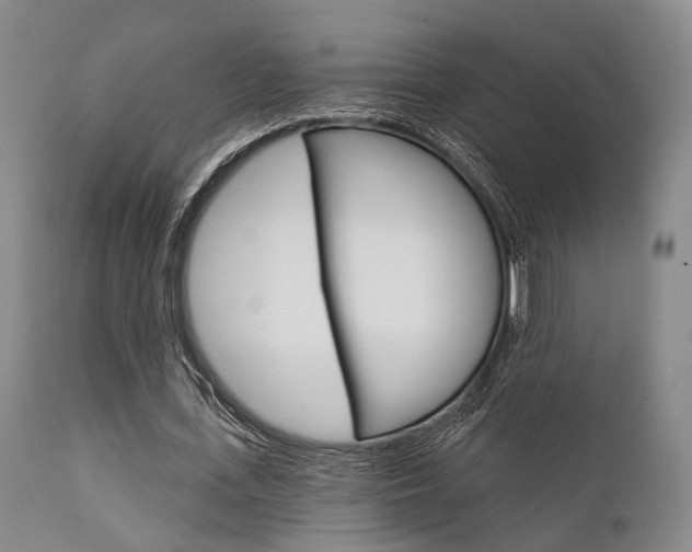 X0000111620723200907171104