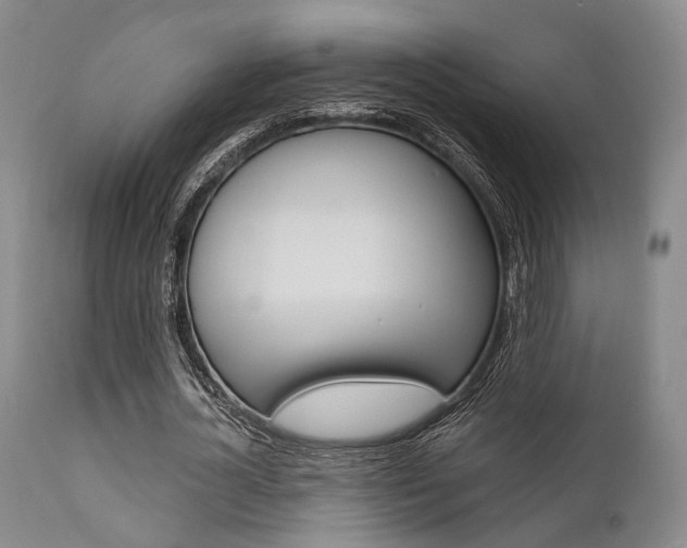 X0000111620724200907171104
