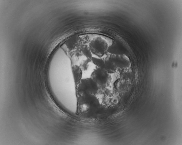 X0000111620725200907171104