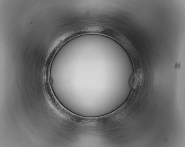X0000111620726200907171104