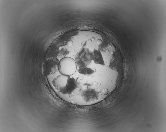 X0000111620729200907171104