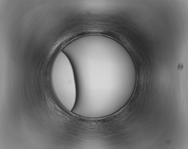 X0000111620731200907171104