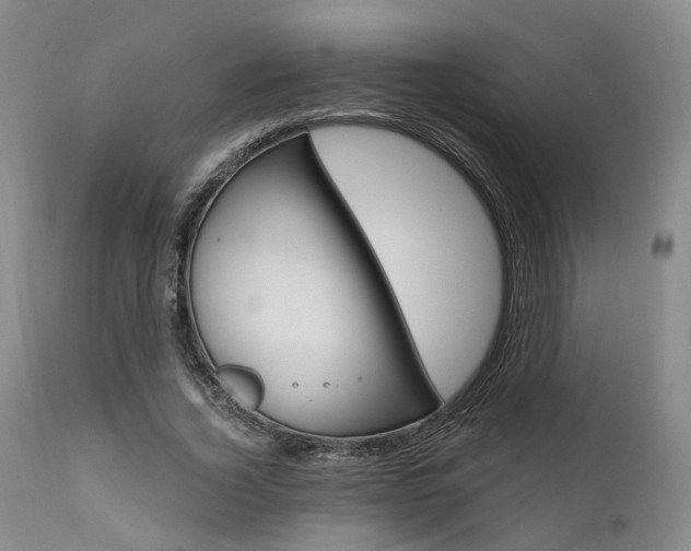 X0000111620732200907171104