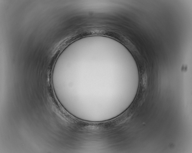 X0000111620733200907171104