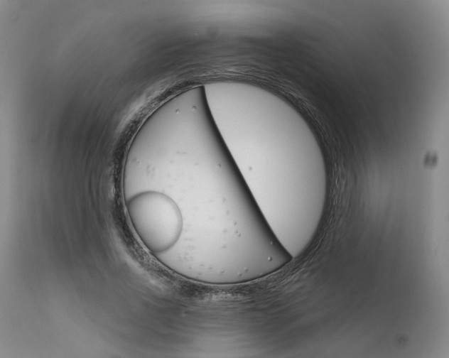 X0000111620734200907171104