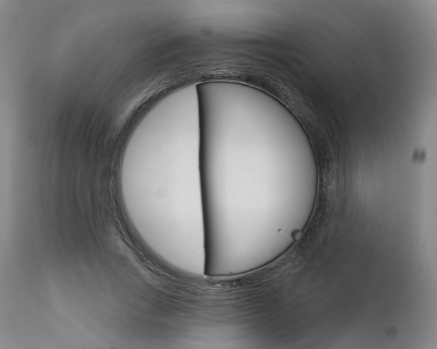 X0000111620735200907171104