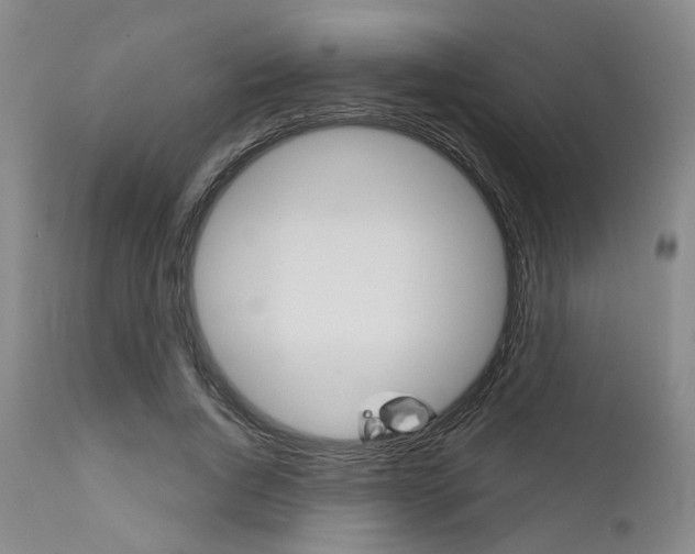 X0000111620736200907171104