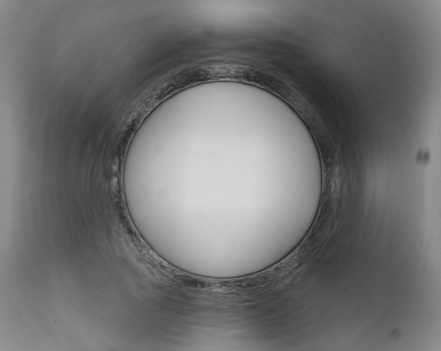 X0000111620737200907171104