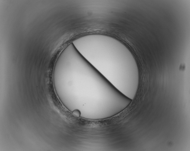 X0000111620738200907171104