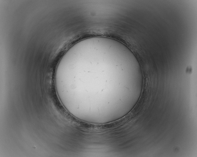 X0000111620739200907171104