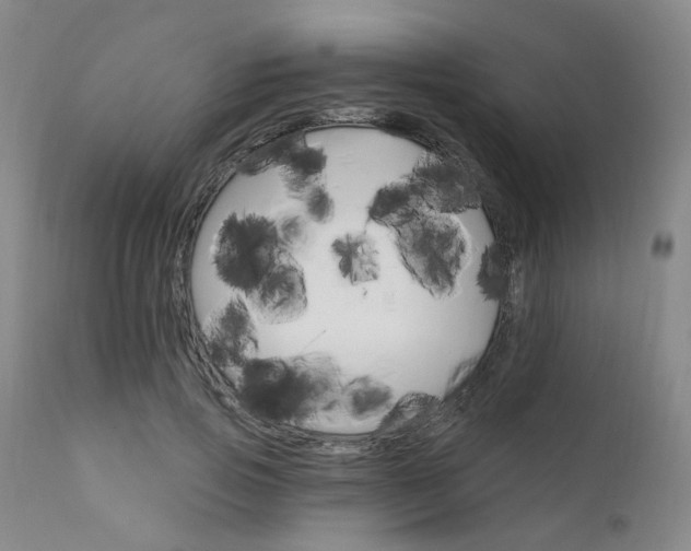 X0000111620741200907171104