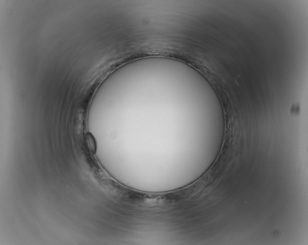 X0000111620744200907171104