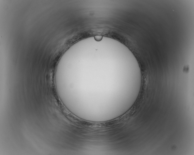 X0000111620745200907171104