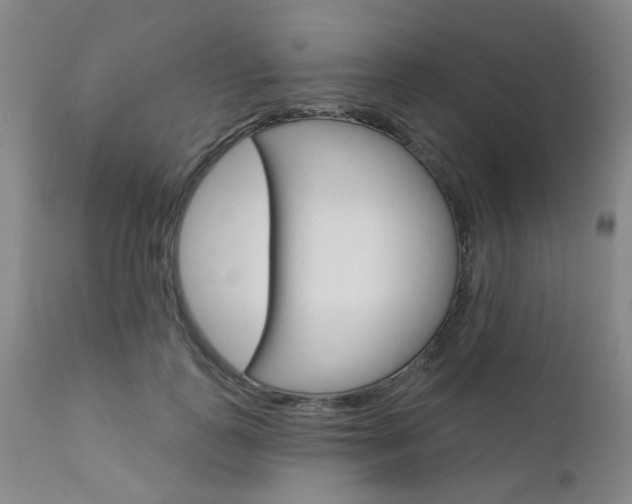 X0000111620747200907171104