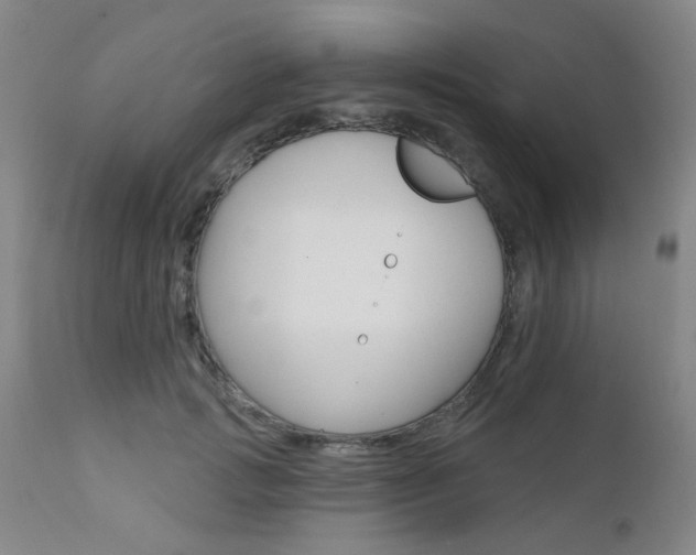 X0000111620749200907171104