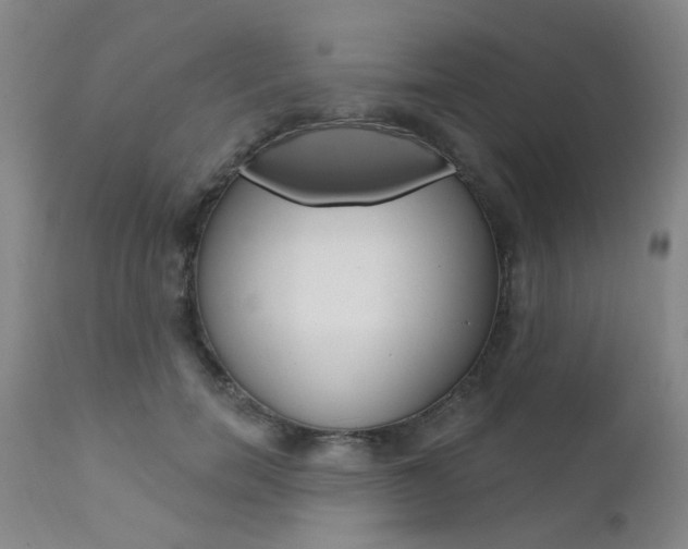 X0000111620750200907171104