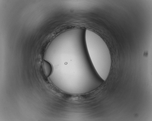 X0000111620752200907171104