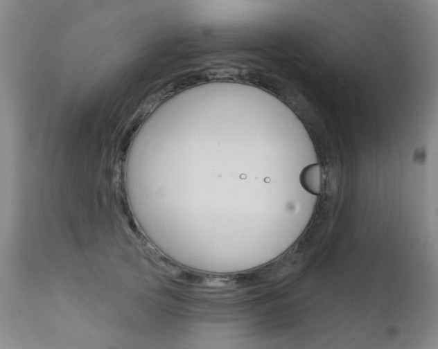 X0000111620753200907171104