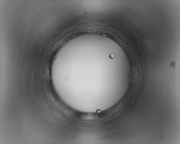 X0000111620754200907171104