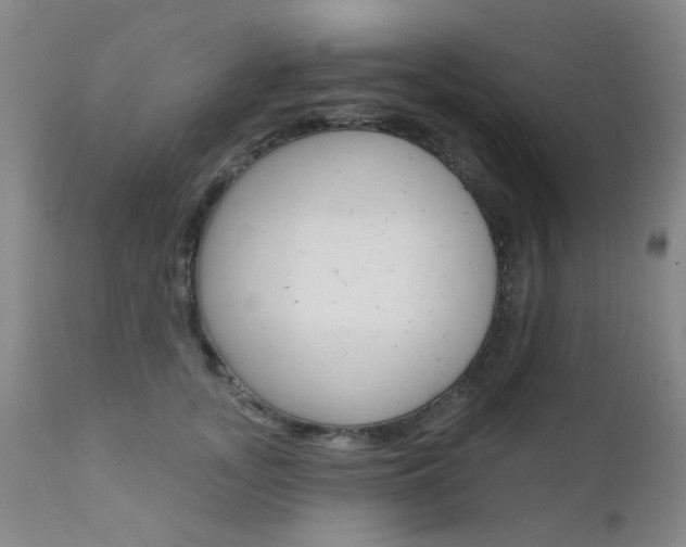 X0000111620755200907171104
