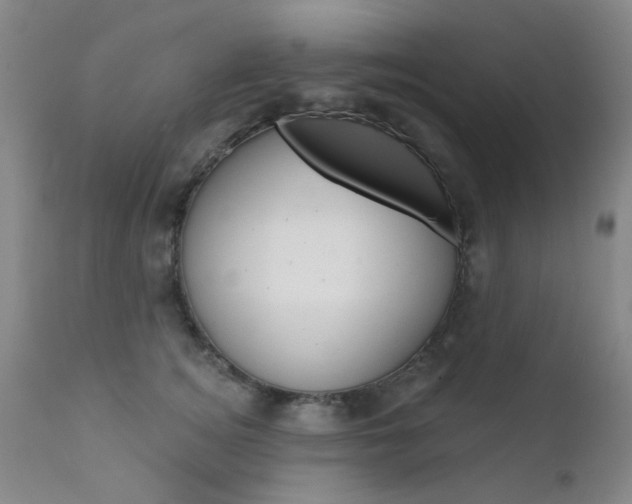 X0000111620756200907171104