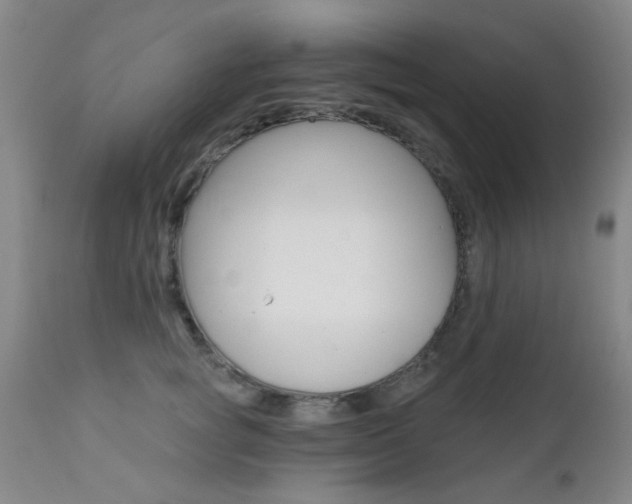 X0000111620757200907171104