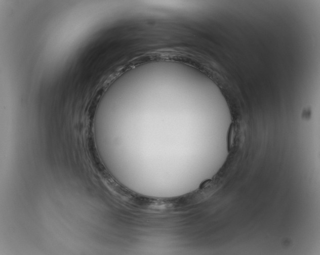 X0000111620760200907171104
