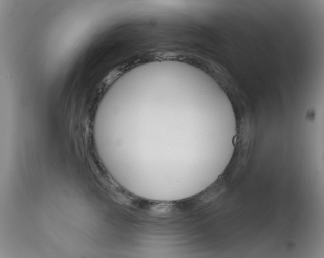 X0000111620761200907171104