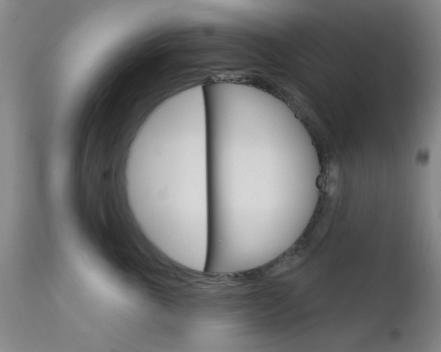 X0000111620763200907171104