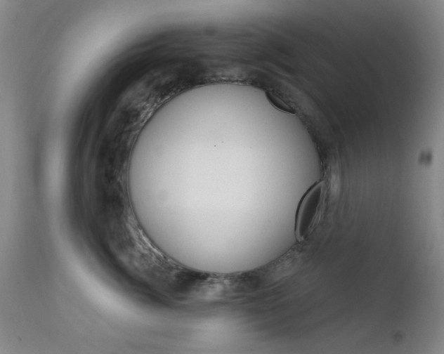 X0000111620764200907171104