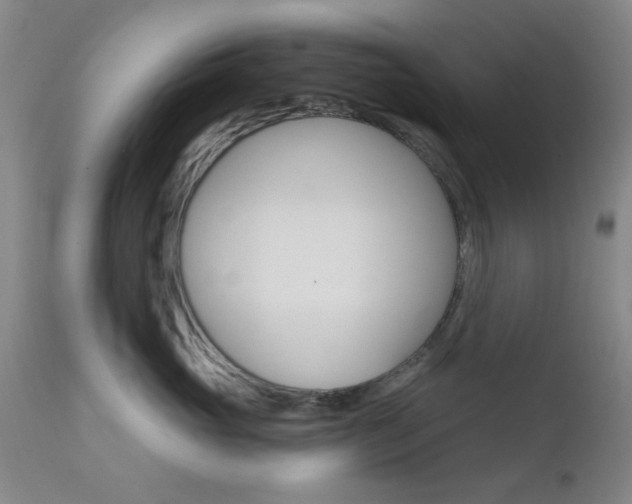 X0000111620765200907171104