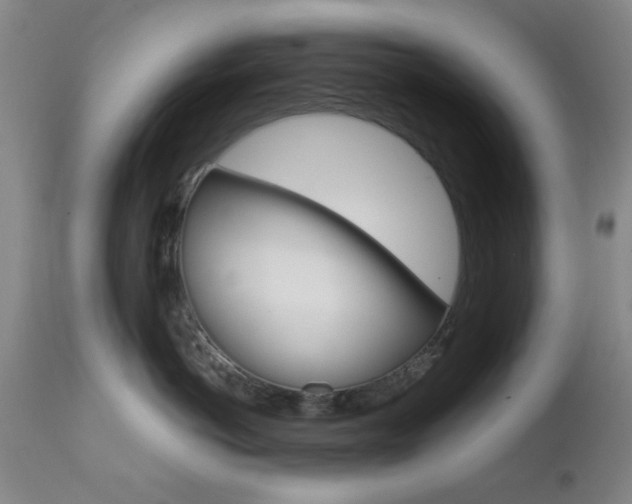 X0000111620766200907171104