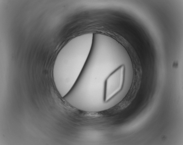 X0000111620767200907171104