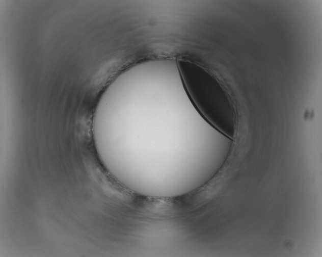 X0000111620768200907171104