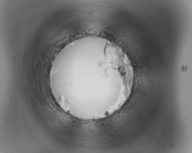 X0000111620769200907171104