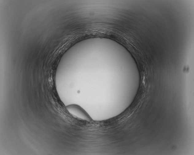 X0000111620771200907171104