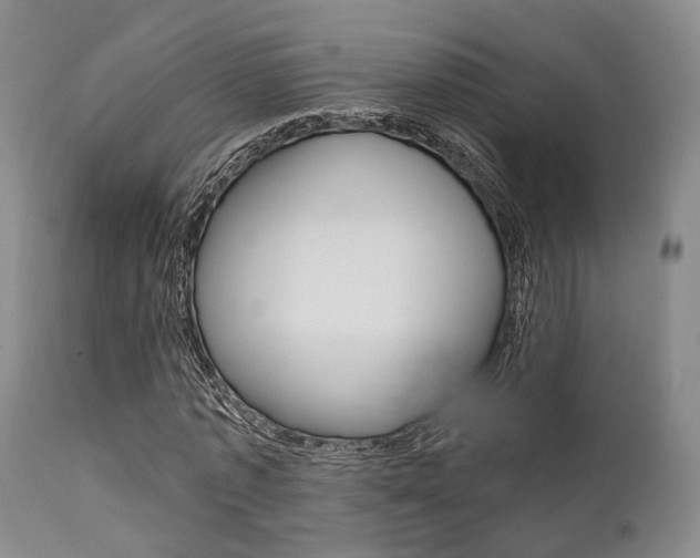 X0000111620773200907171104