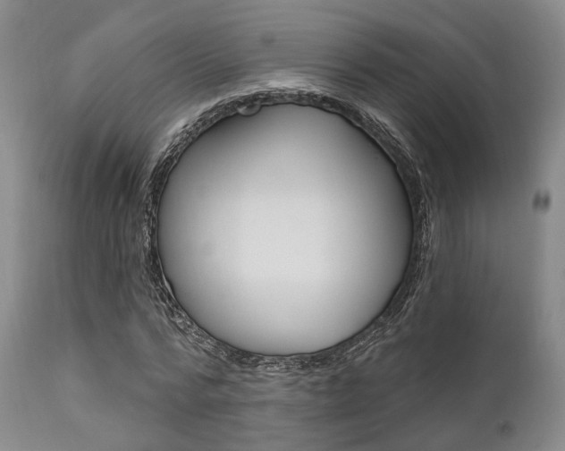 X0000111620776200907171104