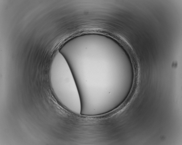 X0000111620777200907171104