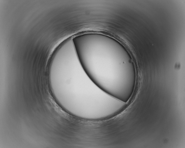 X0000111620779200907171104