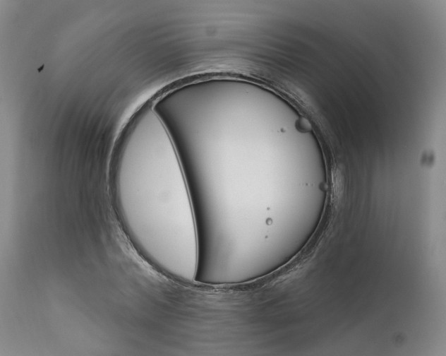 X0000111620780200907171104