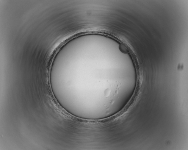 X0000111620781200907171104