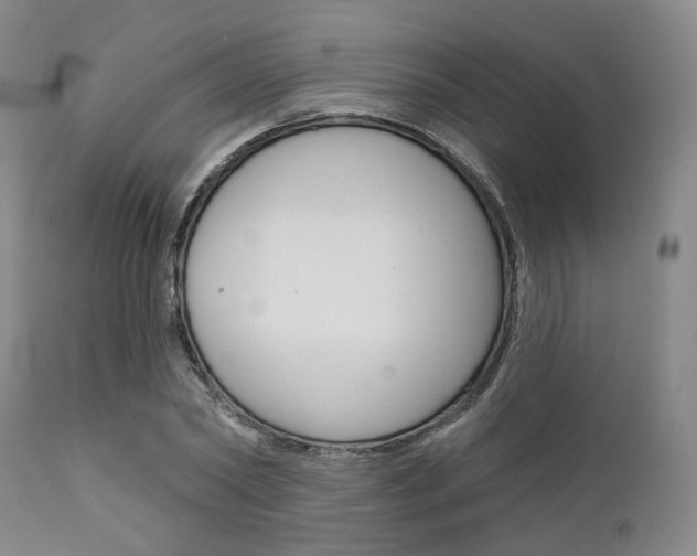 X0000111620782200907171104