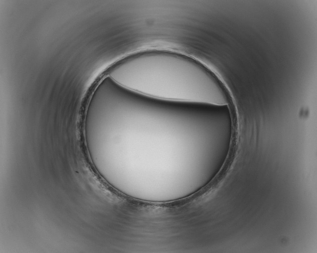 X0000111620783200907171104