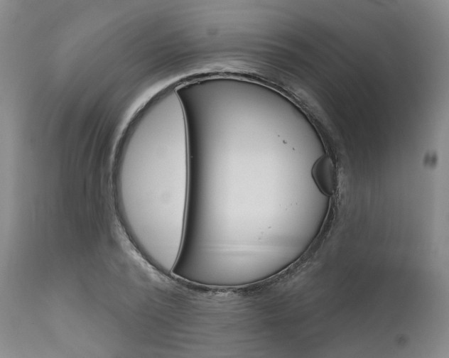 X0000111620784200907171104