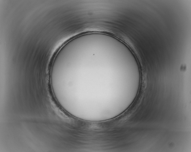 X0000111620787200907171103